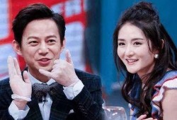 何炅和谢娜最新爆料,揭秘娱乐圈背后的故事与真相