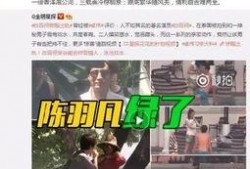 湛江出轨爆料案件最新,真相与争议交织的婚姻悬疑剧