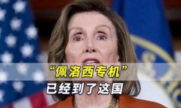 佩洛西最新爆料,揭秘美国政坛惊天秘密
