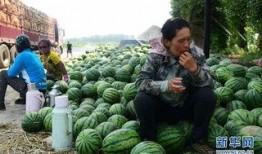 砀山县吃瓜最新事件爆料,揭秘背后惊人真相