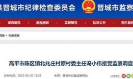 临汾爆料最新新闻今天,最新爆料揭示惊人真相，民众关注！”