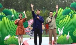 白树最新爆料视频大全,揭秘幕后真相与精彩瞬间
