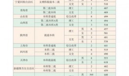 白树最新爆料视频大全,揭秘幕后真相与精彩瞬间